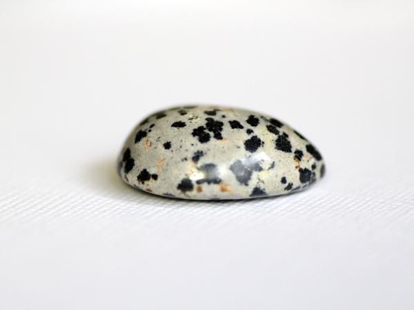 オーシャンジャスパー ホワイトダルメシアン オーシャンジャスパー ホワイトダルメシアン