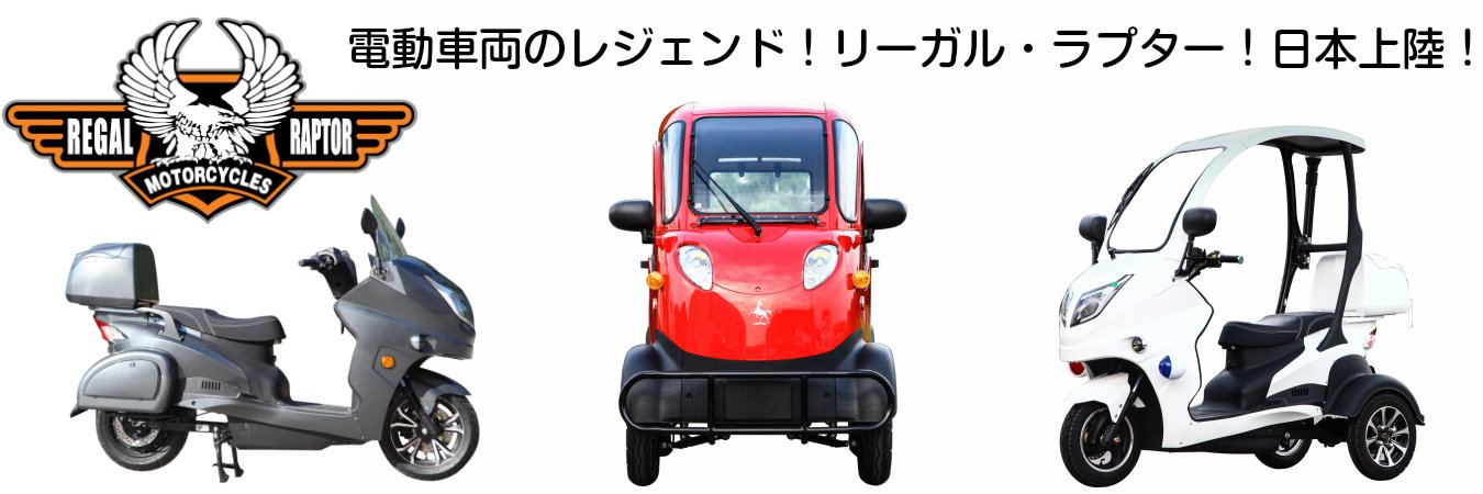 値引きしました‼️電動カート - 三輪車