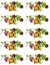 バラ - あとりえHaNa