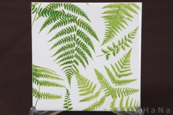 S3084 シダの葉｜ポーセラーツ転写紙｜あとりえHaNa