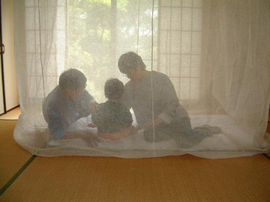 菊屋の蚊帳：綿/麻 和室用の蚊帳　三畳～ - 安眠枕と蚊帳で快適空間を｜anmin.com菊屋