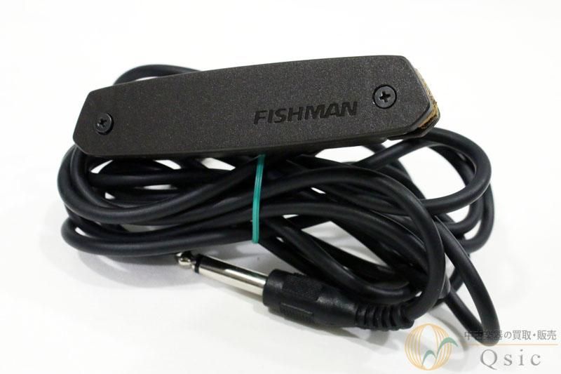FISHMAN Neo-D Magnetic Soundhole Pickup [NJ323]