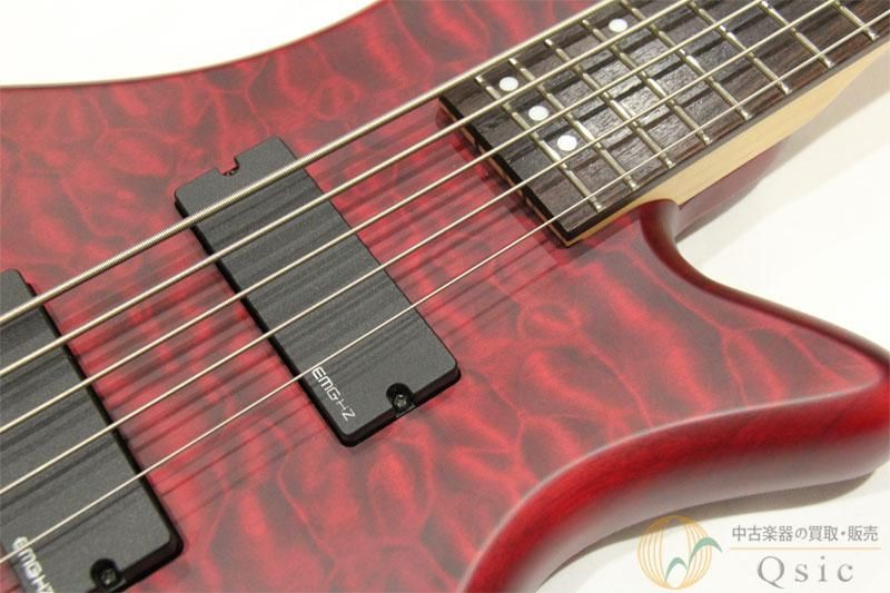 schecter c-5 custom ジャンク扱い　自作ピックガード 5弦 ホットセール schecter c-5 メルカリ - 5弦 自作ピックガード