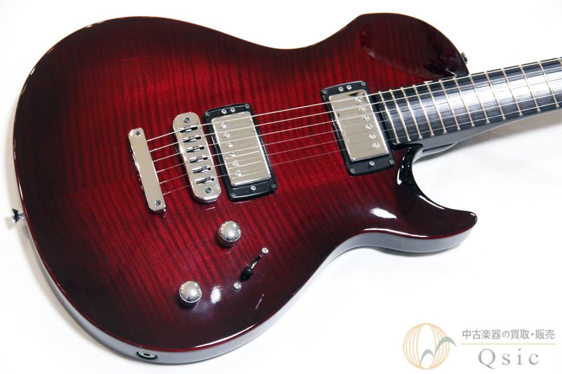 Vigier Guitars G.V Wood 2010ǯ OK[VK597]