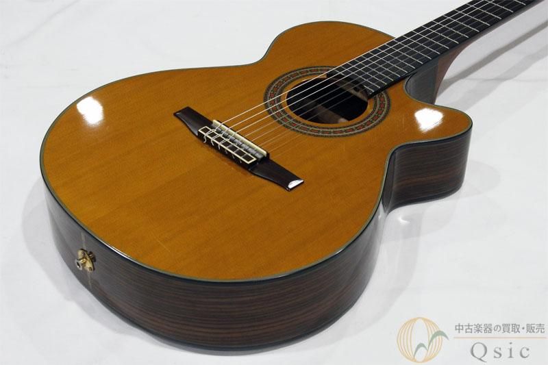 Ibanez AWG600EN LA 【返品OK】[XK493] - 中古楽器の販売 【Qsic】 全国から絶え間なく中古楽器が集まる店