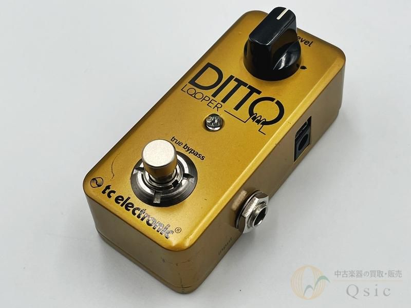tc electronic DITTO LOOPER Gold Limited [OLR85]̧Ź߸ˡ