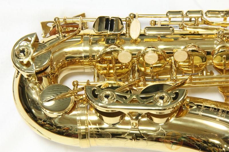 Buffet Crampon Prodige Alto [調整済み] 【返品OK】[QL068
