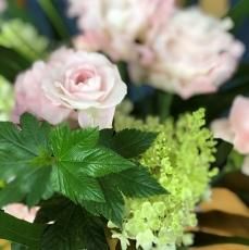 FLORIST NANAޤۤ֤(1