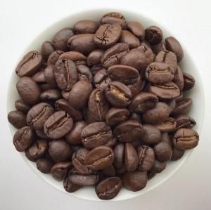 <img class='new_mark_img1' src='https://img.shop-pro.jp/img/new/icons5.gif' style='border:none;display:inline;margin:0px;padding:0px;width:auto;' />٥ȥʥ å G1