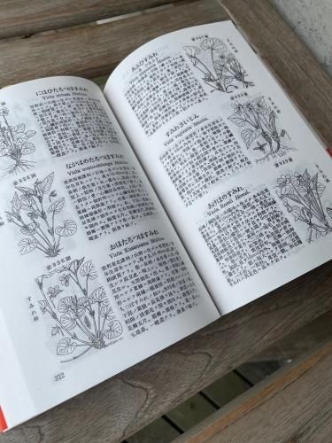 卓上版 牧野日本植物図鑑 ボタニカルショップ Nonoca 卓上版 牧野日本植物図鑑 ボタニカルショップ Nonoca