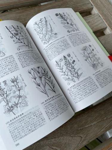 新牧野日本植物圖鑑 - その他