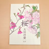 桜ポストカードセット１