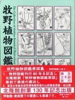 ʪ޴ո޽