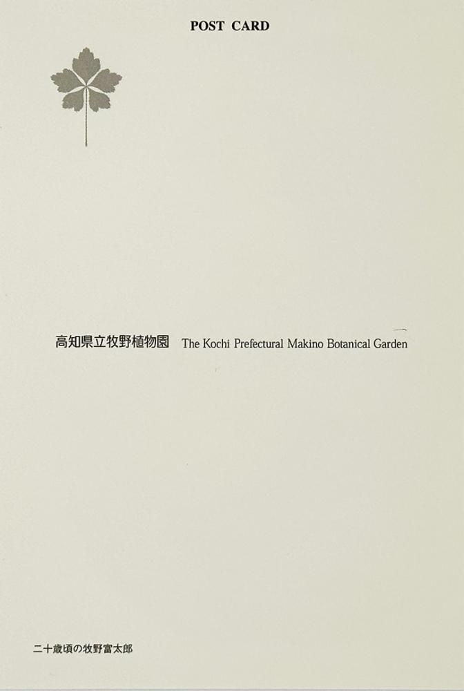 ポストカード「青年時代」 - 牧野植物園ミュージアムショップ