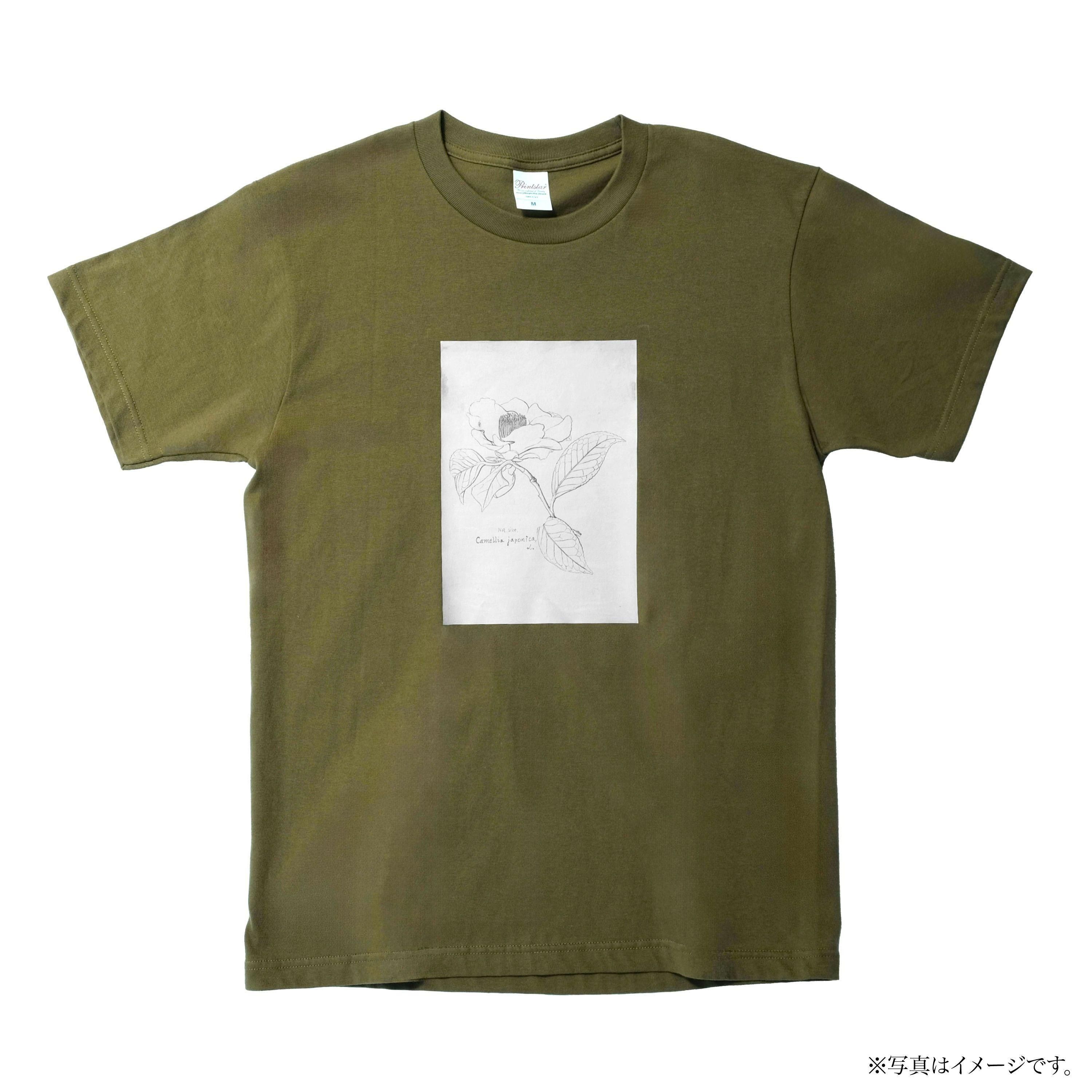 <img class='new_mark_img1' src='https://img.shop-pro.jp/img/new/icons7.gif' style='border:none;display:inline;margin:0px;padding:0px;width:auto;' />ʪT ֥ĥХʥ꡼֡