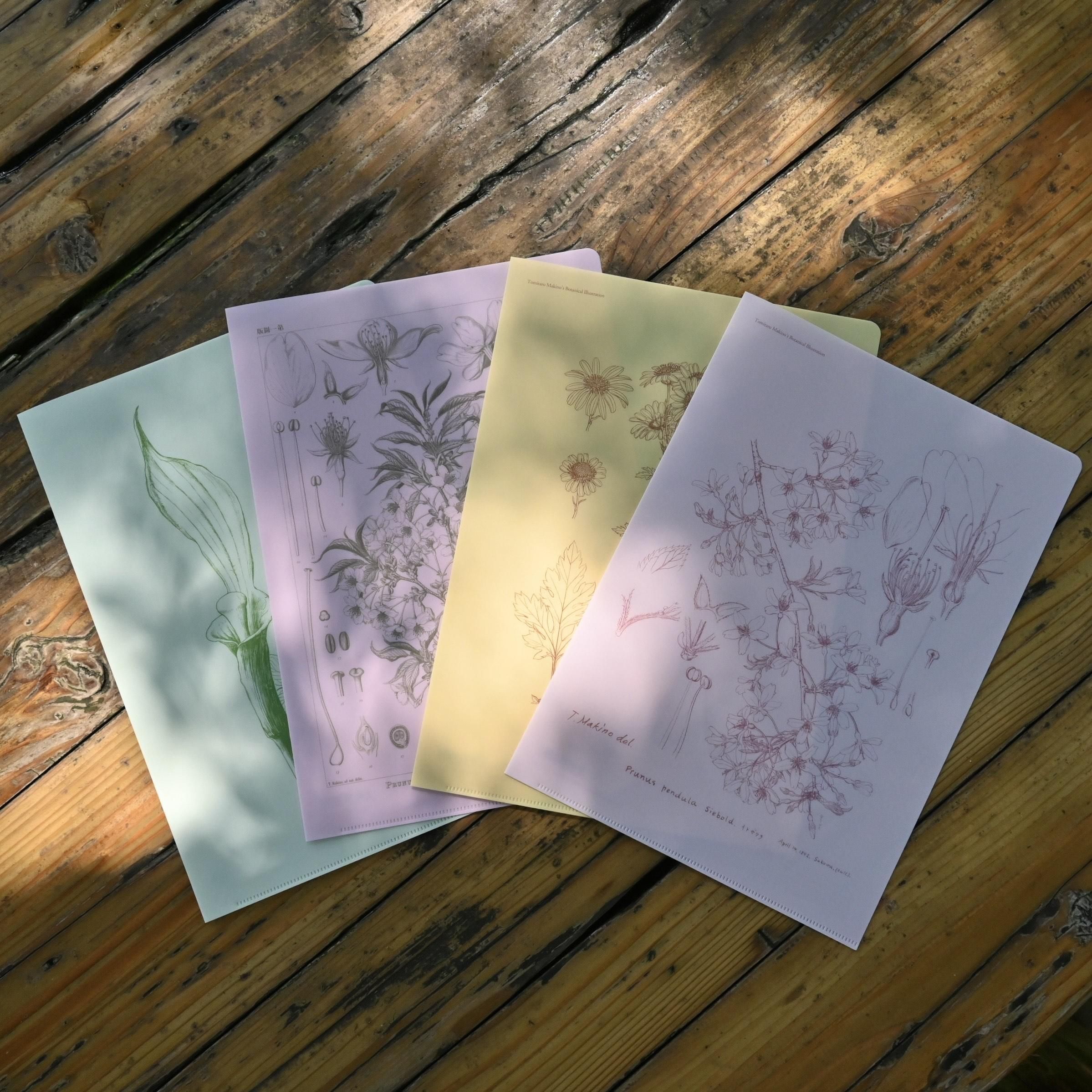 <img class='new_mark_img1' src='https://img.shop-pro.jp/img/new/icons7.gif' style='border:none;display:inline;margin:0px;padding:0px;width:auto;' />CF4祻å B