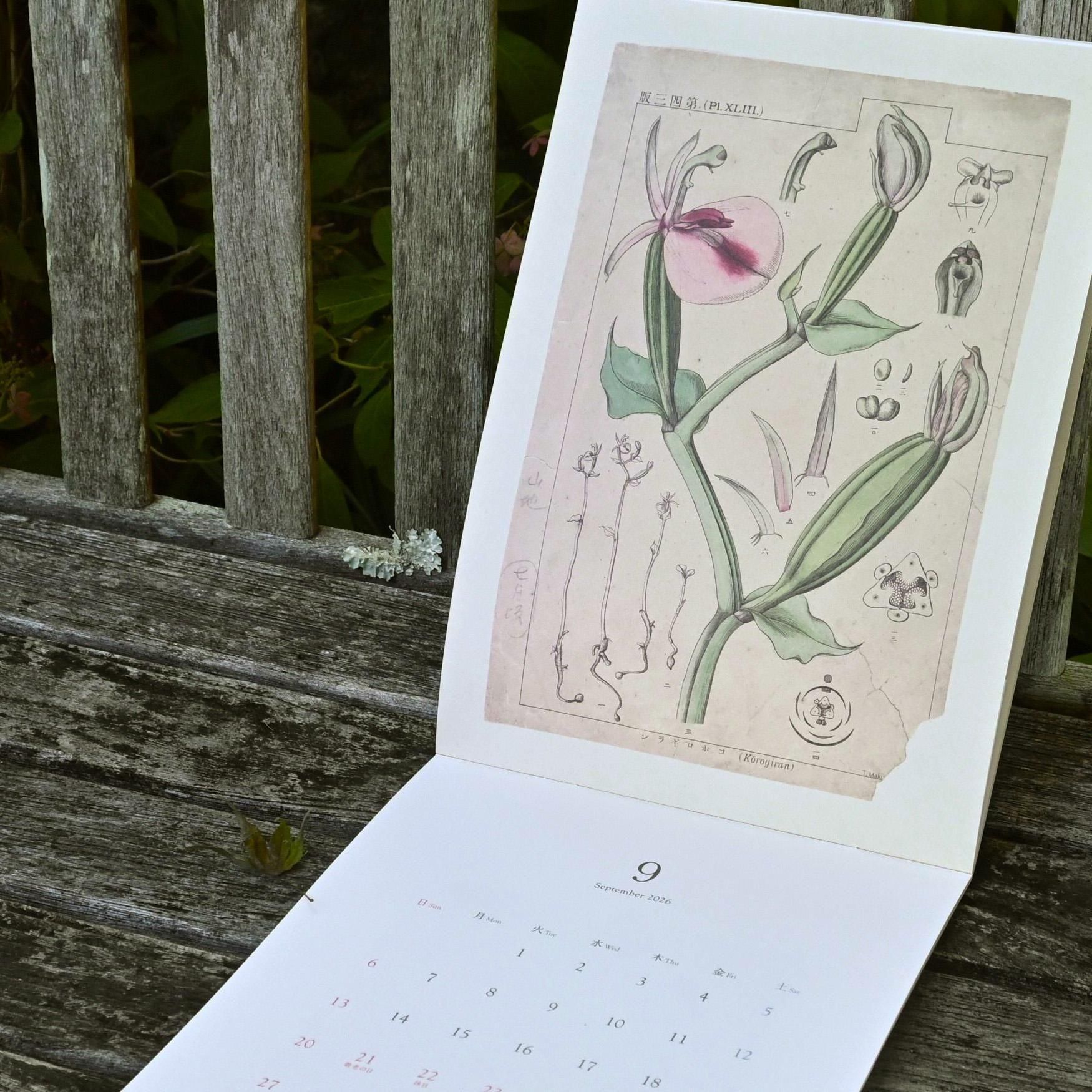 牧野植物園カレンダー2026 - 牧野植物園ミュージアムショップ