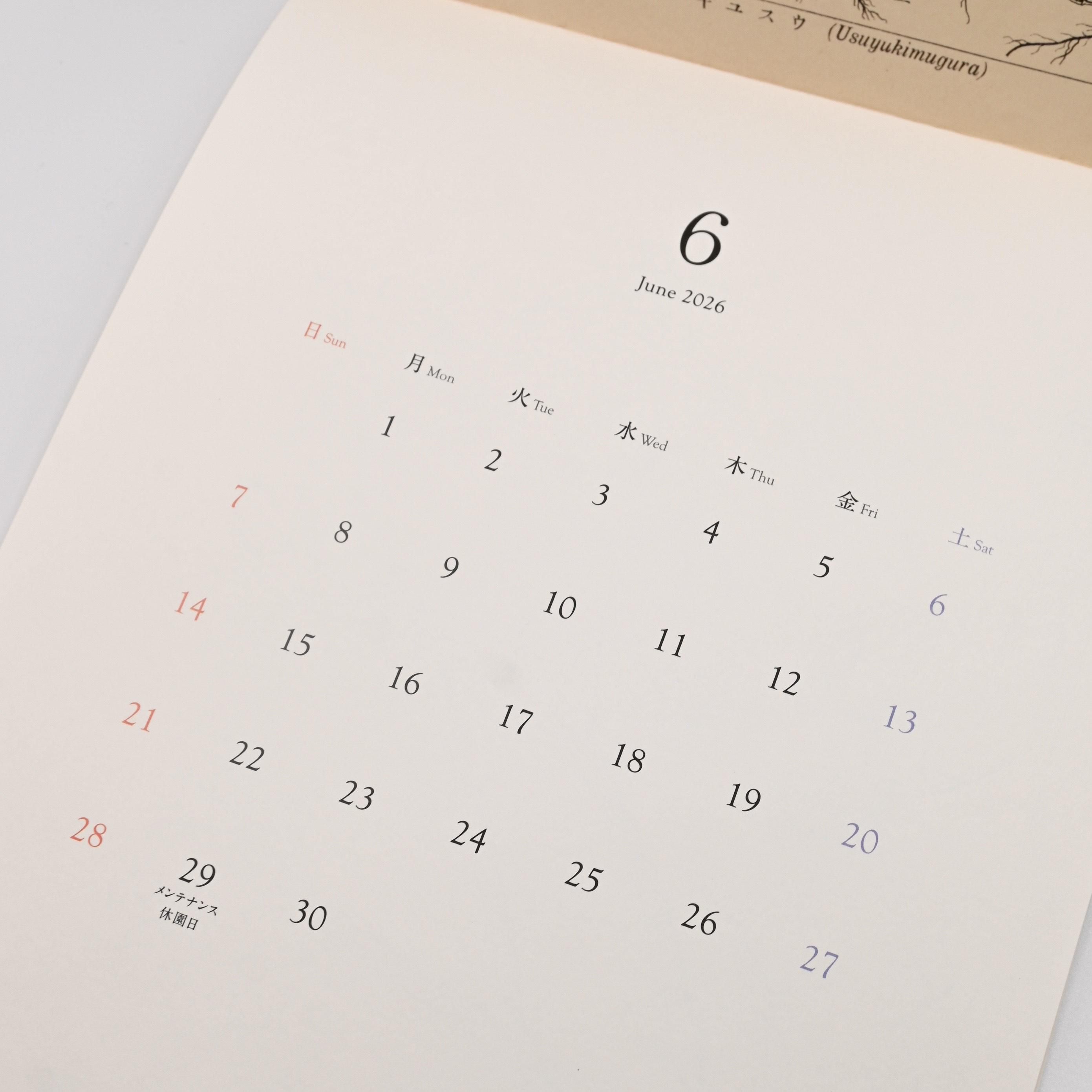 牧野植物園カレンダー2026 - 牧野植物園ミュージアムショップ