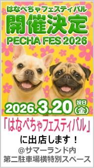 フレンチブルドッグ服□B DESIGN□ビーデザイン