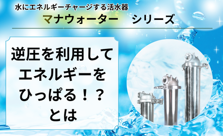 ޥʥ