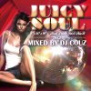【限定数再入荷!!! 】90's R&Bの名曲を厳選収録!! Juicy Soul Vol.2
