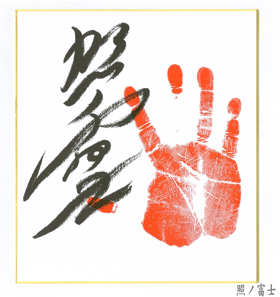 大相撲【稀勢の里 関】KS011手形/サイン(真筆、肉筆)落款入り色紙1枚/手形