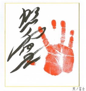 大相撲　サイン入手形色紙額縁サイズ33×36