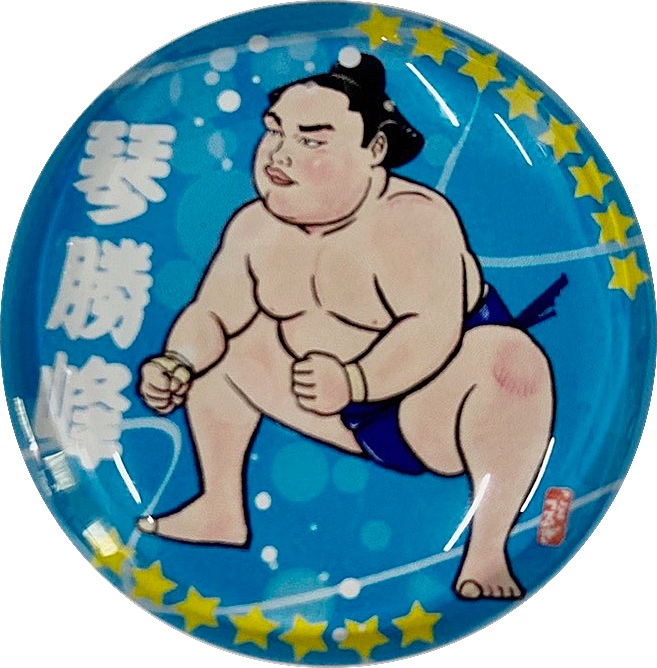 琴剣マグネット 幕内 相撲銘品館 琴剣マグネット 幕内 相撲銘品館