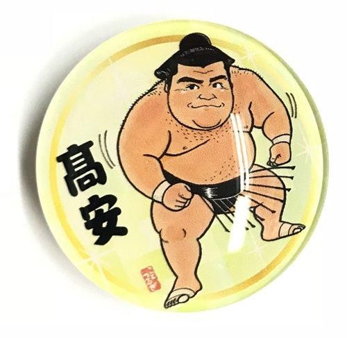 琴剣マグネット 幕内 相撲銘品館 琴剣マグネット 幕内 相撲銘品館