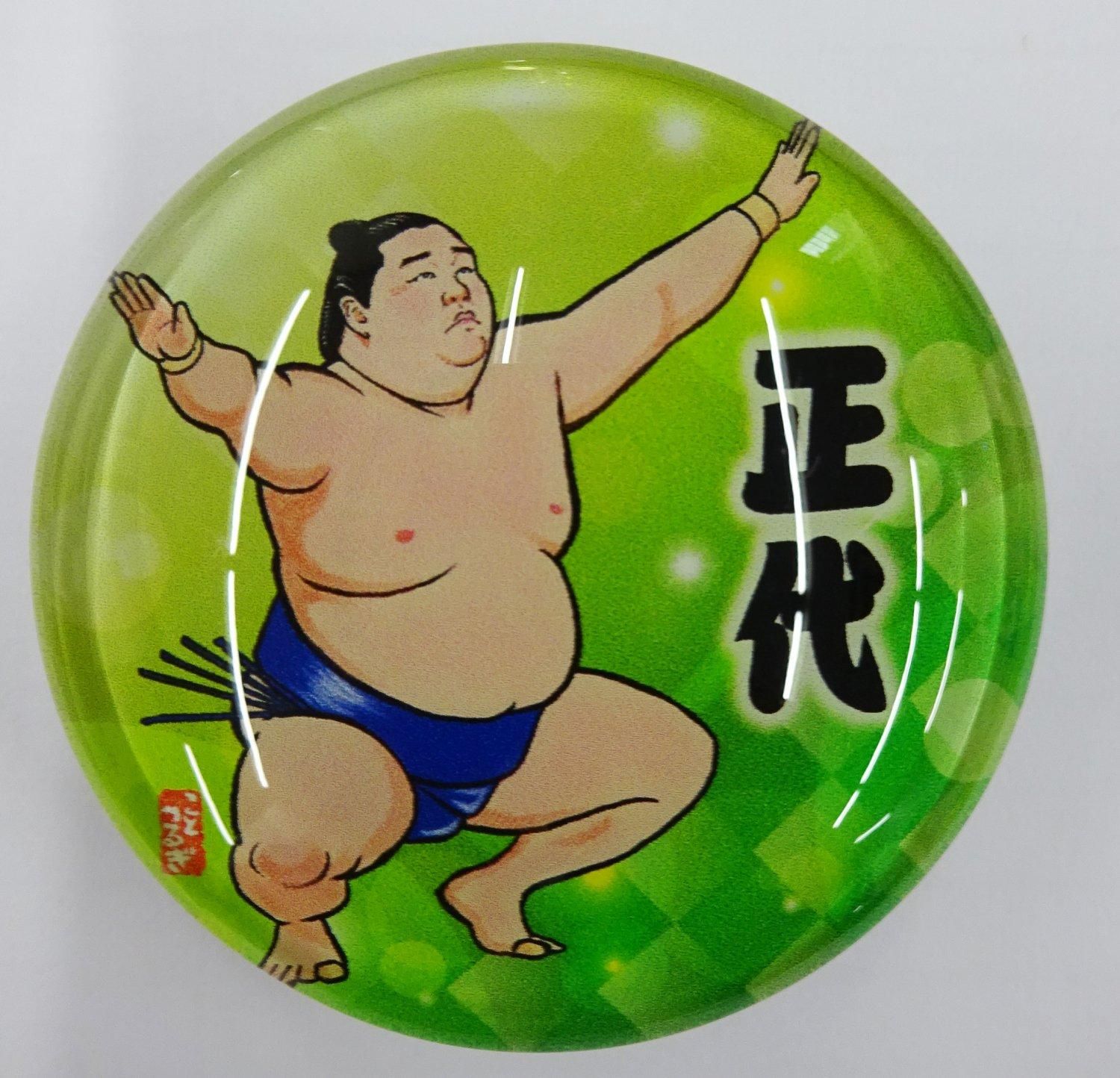 琴剣マグネット 幕内 相撲銘品館 琴剣マグネット 幕内 相撲銘品館