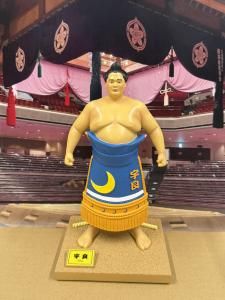 手形色紙 - 相撲銘品館