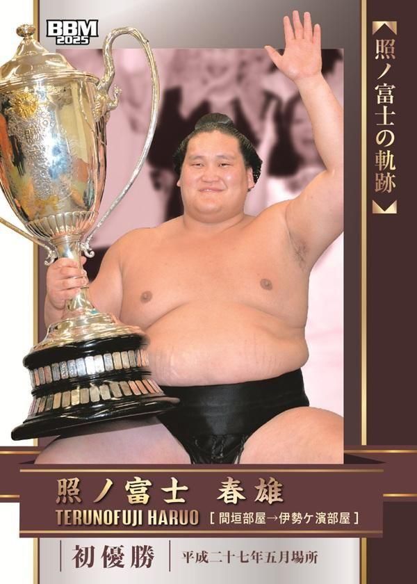 大相撲カード「和」-NAGOMI-（1パック6枚入り） - 相撲銘品館