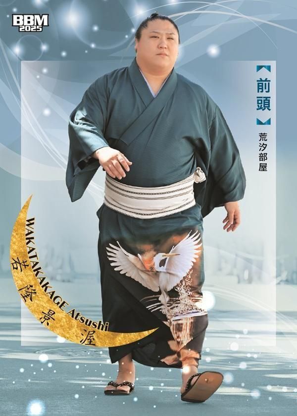 大相撲カード「和」-NAGOMI-（1パック6枚入り） - 相撲銘品館