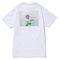 <img class='new_mark_img1' src='https://img.shop-pro.jp/img/new/icons49.gif' style='border:none;display:inline;margin:0px;padding:0px;width:auto;' />CHALLENGER - STREET FLOWER TEE