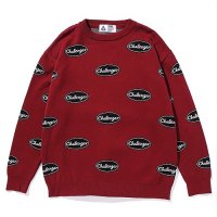 <img class='new_mark_img1' src='https://img.shop-pro.jp/img/new/icons49.gif' style='border:none;display:inline;margin:0px;padding:0px;width:auto;' />CHALLENGER - LOGO RULED SWEATER