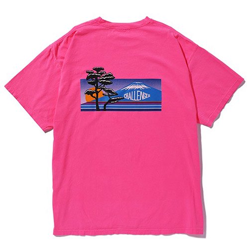 13930円 CHALLENGER NATURE JPN TEE Tシャツ/カットソー(半袖/袖なし