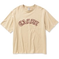 <img class='new_mark_img1' src='https://img.shop-pro.jp/img/new/icons5.gif' style='border:none;display:inline;margin:0px;padding:0px;width:auto;' />CALEE - Drop shoulder CALEE arch logo t-shirt