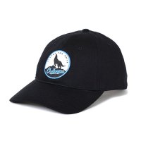 <img class='new_mark_img1' src='https://img.shop-pro.jp/img/new/icons5.gif' style='border:none;display:inline;margin:0px;padding:0px;width:auto;' />CHALLENGER - WOLF FIELD CAP