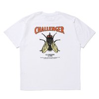 <img class='new_mark_img1' src='https://img.shop-pro.jp/img/new/icons5.gif' style='border:none;display:inline;margin:0px;padding:0px;width:auto;' />CHALLENGER - HIBISCUS TEE