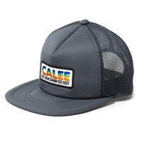 <img class='new_mark_img1' src='https://img.shop-pro.jp/img/new/icons5.gif' style='border:none;display:inline;margin:0px;padding:0px;width:auto;' />CALEE - CALEE LOGO Wappen Mesh Cap