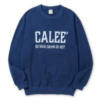 <img class='new_mark_img1' src='https://img.shop-pro.jp/img/new/icons49.gif' style='border:none;display:inline;margin:0px;padding:0px;width:auto;' />CALEE - CALEE NATIONAL LOGO CREW NECK SW