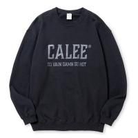 <img class='new_mark_img1' src='https://img.shop-pro.jp/img/new/icons5.gif' style='border:none;display:inline;margin:0px;padding:0px;width:auto;' />CALEE - CALEE NATIONAL LOGO CREW NECK SW