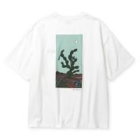 <img class='new_mark_img1' src='https://img.shop-pro.jp/img/new/icons5.gif' style='border:none;display:inline;margin:0px;padding:0px;width:auto;' />CALEE - × MIHO MURAKAMI DROP SHOULDER PRINT TEE