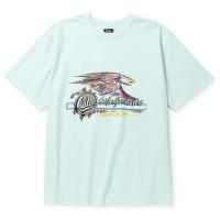 <img class='new_mark_img1' src='https://img.shop-pro.jp/img/new/icons5.gif' style='border:none;display:inline;margin:0px;padding:0px;width:auto;' />CALEE - BINDER NECK EAGLE LOGO VINTAGE TEE NATURALLY PAINT DESIGN
