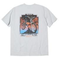 <img class='new_mark_img1' src='https://img.shop-pro.jp/img/new/icons5.gif' style='border:none;display:inline;margin:0px;padding:0px;width:auto;' />RADIALL - Stingray CREW NECK T-SHIRT S/S