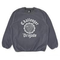 <img class='new_mark_img1' src='https://img.shop-pro.jp/img/new/icons5.gif' style='border:none;display:inline;margin:0px;padding:0px;width:auto;' />CHALLENGER - COLLEGE C/N FLEECE