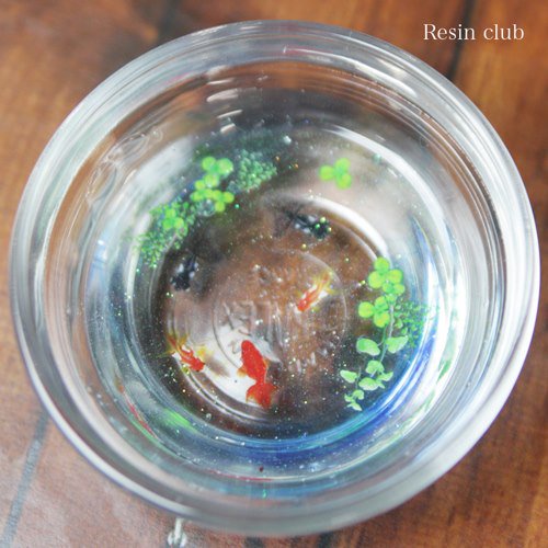 Resin club(レジンクラブ) 埋め込みレジンシール 金魚 88×150mm レッド