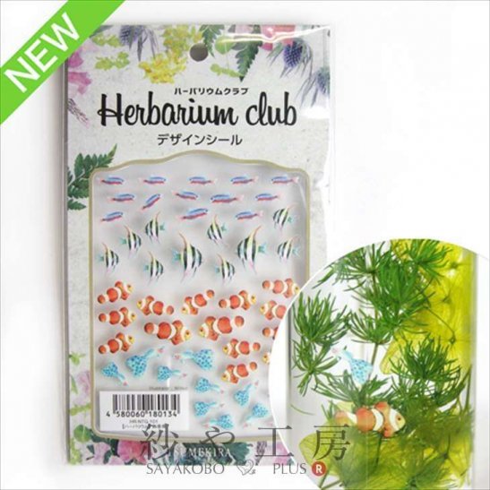 Harbarium club(ハーバリウムクラブ) ハーバリウムシール 熱帯魚 88