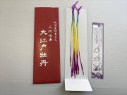 線香花火 - 神戸の景品玩具激安卸売問屋クリス