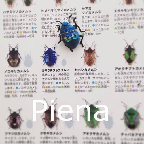ルリクチブトカメムシ №0003 - 生意気猫のいるお店 Piena
